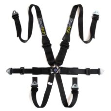 Racetech Pro 6-point HANS