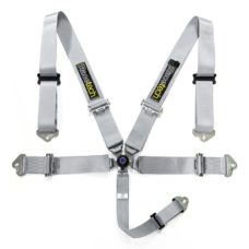 Racetech Magnum 5-point