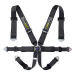 Racetech Pro 6-point Harness