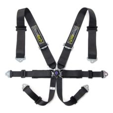 Racetech Pro 6-point Harness