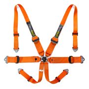 Racetech Harnesses