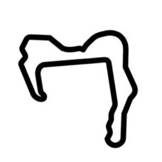 Buttonwillow Raceway Park #13 Track Vinyl