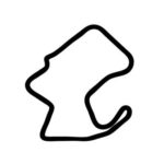 Laguna Seca Track Vinyl