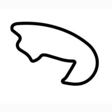 Michigan International Speedway Road Course Track Vinyl