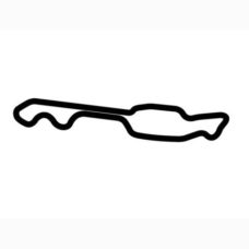 No Problem Raceway Park Track Vinyl