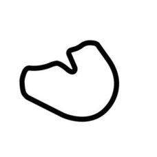 Pocono International Raceway South Course Track Vinyl