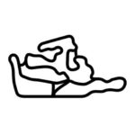 Reno-Fernley Raceway Track Vinyl
